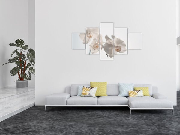 Obraz białej orchidei (125x70 cm)