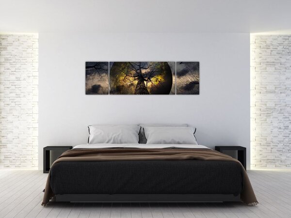 Obraz - Tajemnicze niebo (170x50 cm)