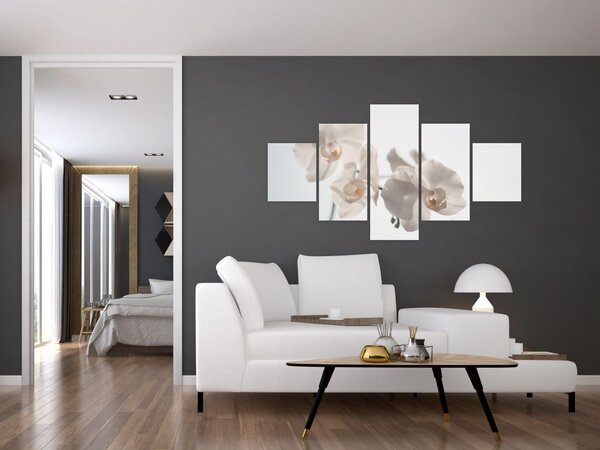 Obraz białej orchidei (125x70 cm)