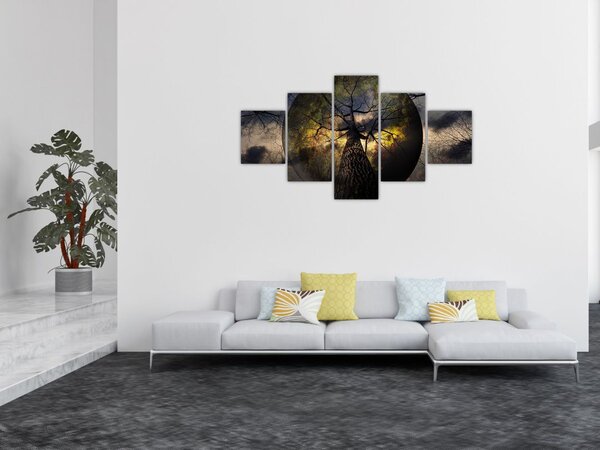 Obraz - Tajemnicze niebo (125x70 cm)