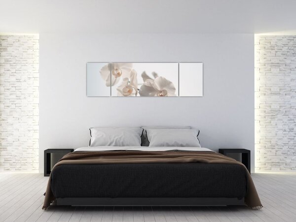 Obraz białej orchidei (170x50 cm)