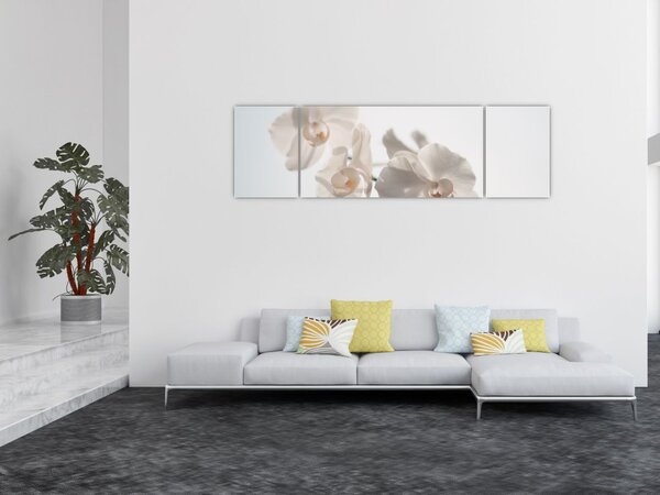 Obraz białej orchidei (170x50 cm)