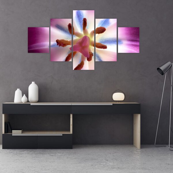 Obraz - Kwiat tulipana w szczegółach (125x70 cm)