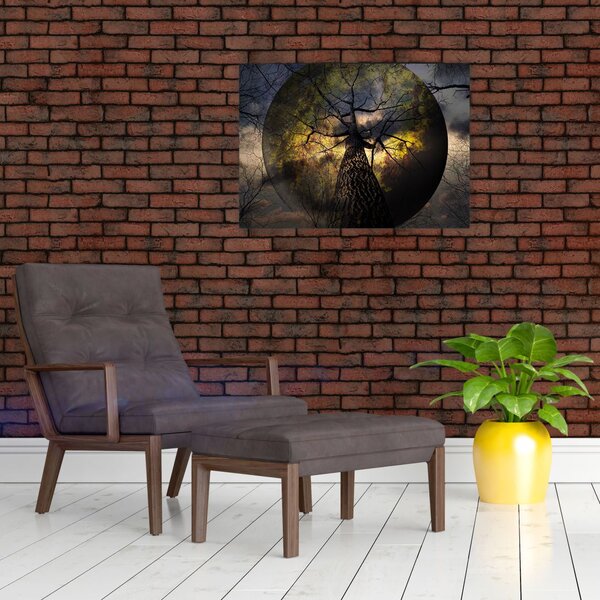 Obraz - Tajemnicze niebo (70x50 cm)