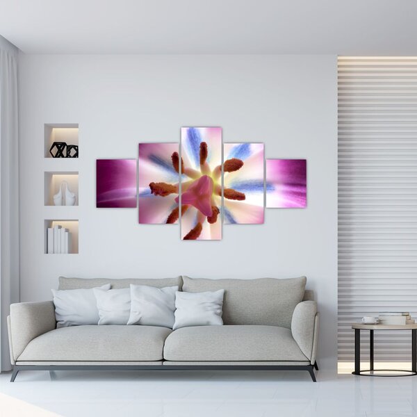 Obraz - Kwiat tulipana w szczegółach (125x70 cm)