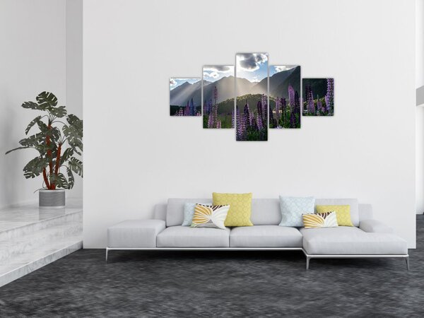 Obraz - Sceneria łubinów (125x70 cm)
