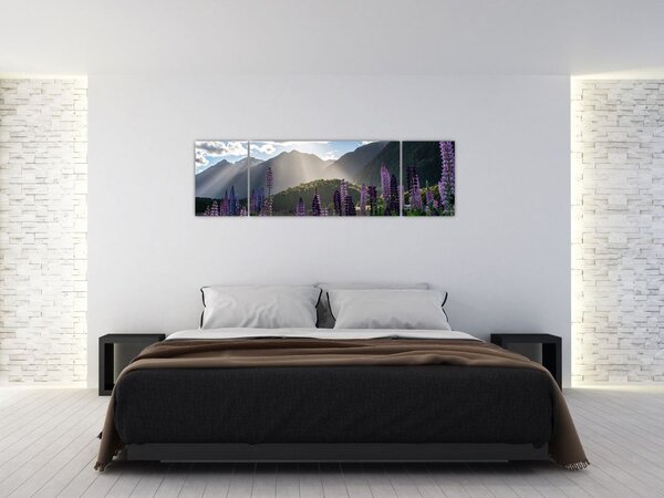 Obraz - Sceneria łubinów (170x50 cm)