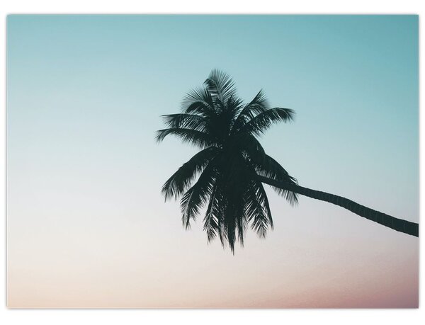 Obraz - Palma na Bali (70x50 cm)