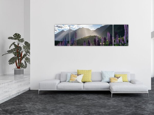 Obraz - Sceneria łubinów (170x50 cm)
