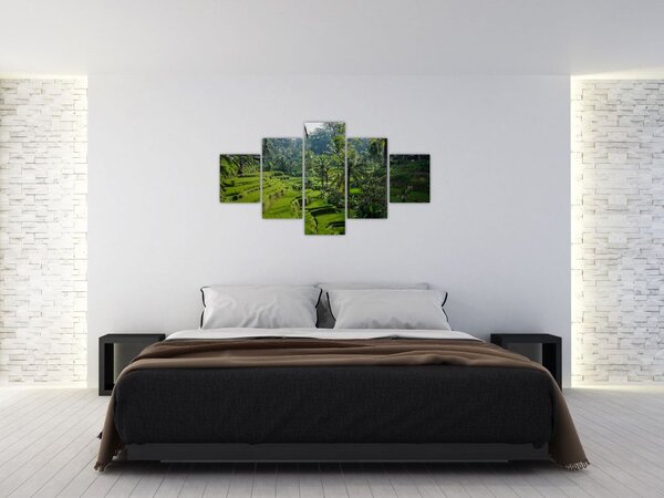 Obraz tarasów ryżowych Tegalalang, Bali (125x70 cm)