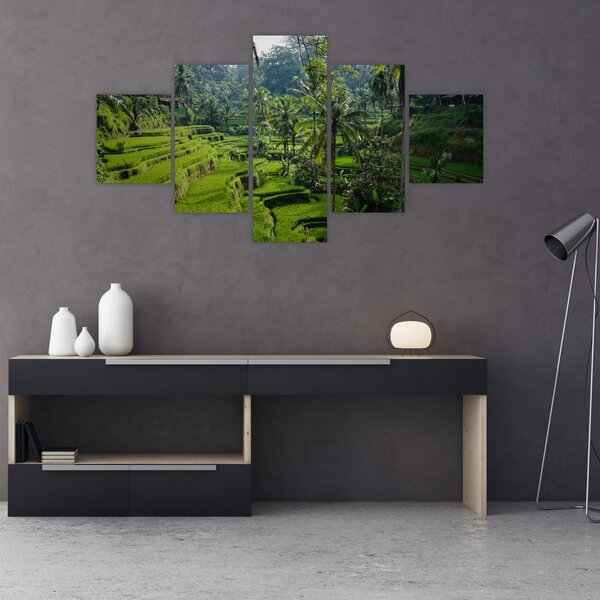 Obraz tarasów ryżowych Tegalalang, Bali (125x70 cm)