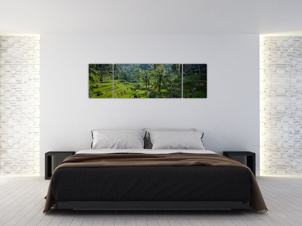 Obraz tarasów ryżowych Tegalalang, Bali (170x50 cm)