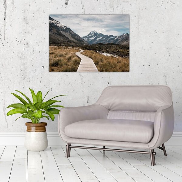 Obraz - Chodnik w dolinie góry Mt. Cook (70x50 cm)