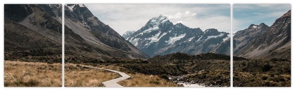 Obraz - Chodnik w dolinie góry Mt. Cook (170x50 cm)