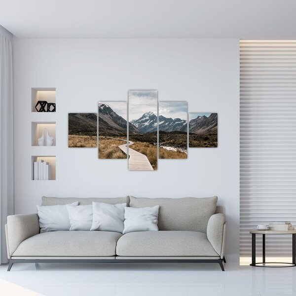 Obraz - Chodnik w dolinie góry Mt. Cook (125x70 cm)