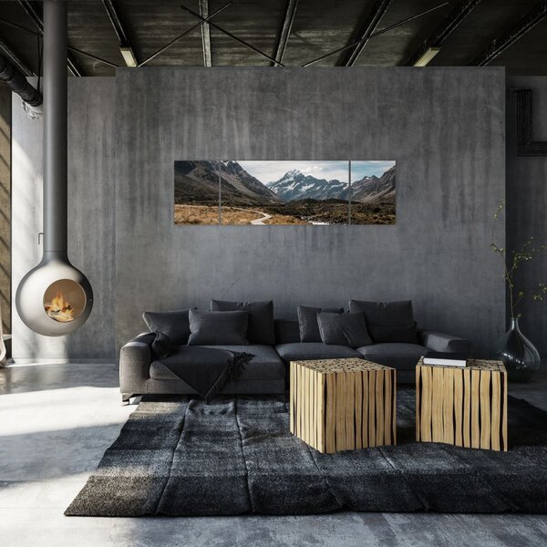 Obraz - Chodnik w dolinie góry Mt. Cook (170x50 cm)