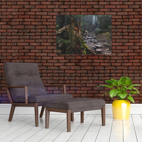 Obraz - W lesie (70x50 cm)