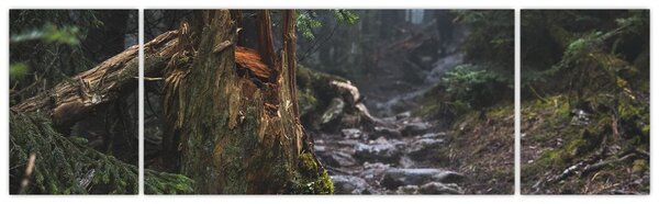 Obraz - W lesie (170x50 cm)