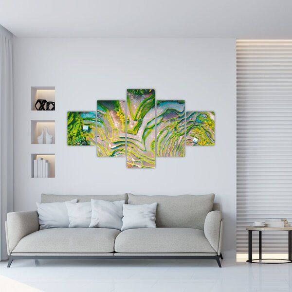Obraz pól ryżowych z lotu ptaka (125x70 cm)