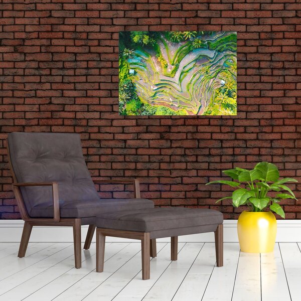 Obraz pól ryżowych z lotu ptaka (70x50 cm)
