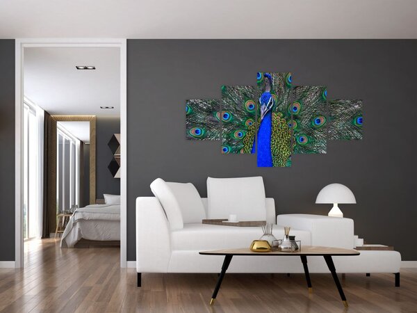 Obraz - Paw (125x70 cm)