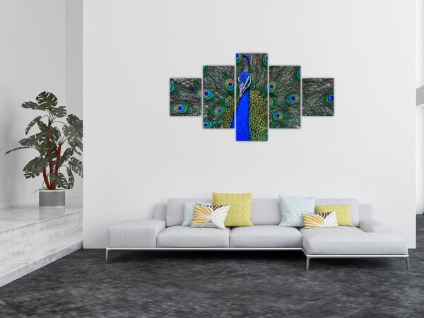 Obraz - Paw (125x70 cm)