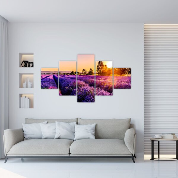 Obraz pola lawendy, Prowansja (125x70 cm)