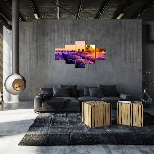 Obraz pola lawendy, Prowansja (125x70 cm)
