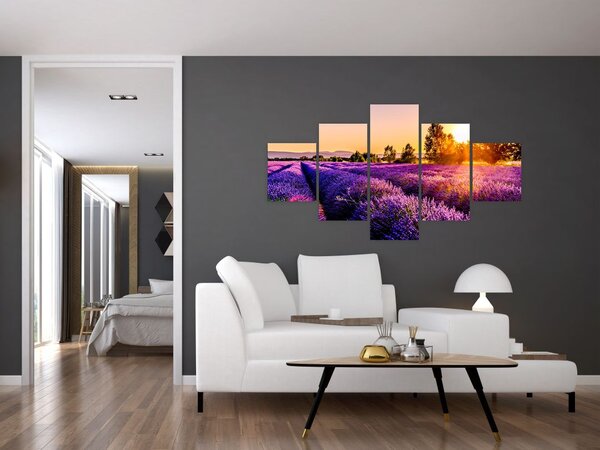 Obraz pola lawendy, Prowansja (125x70 cm)