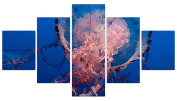 Obraz meduzy (125x70 cm)