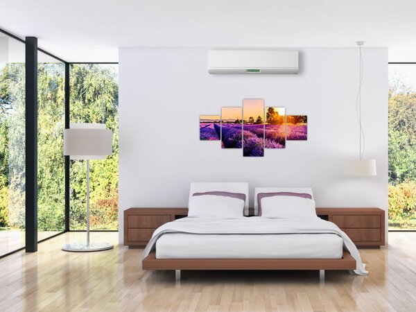 Obraz pola lawendy, Prowansja (125x70 cm)