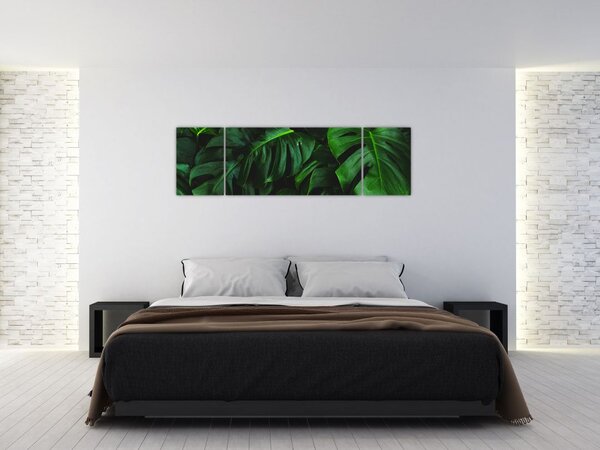 Obraz liści Monstery (170x50 cm)