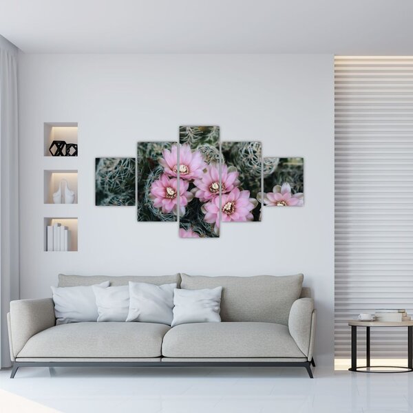 Obraz kwiatu kaktusa (125x70 cm)