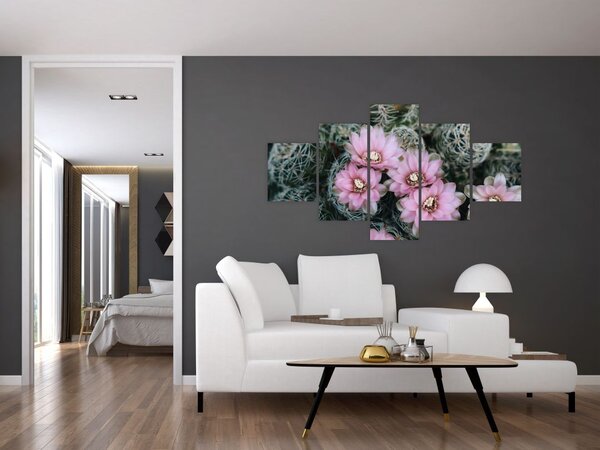 Obraz kwiatu kaktusa (125x70 cm)