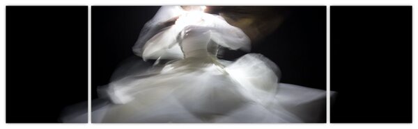 Obraz kwiatu lotosu (170x50 cm)
