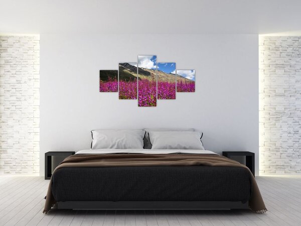 Obraz scenerii łąki górskiej (125x70 cm)