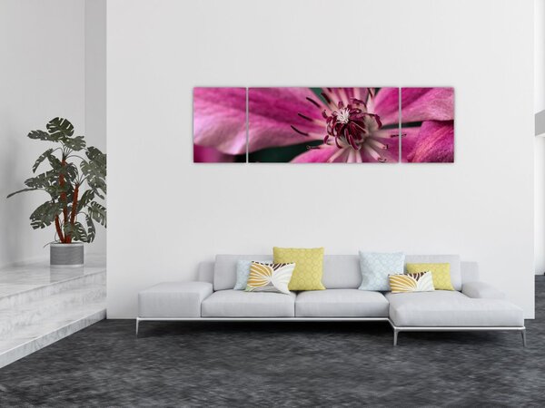 Obraz różowego kwiatu powojnika (170x50 cm)