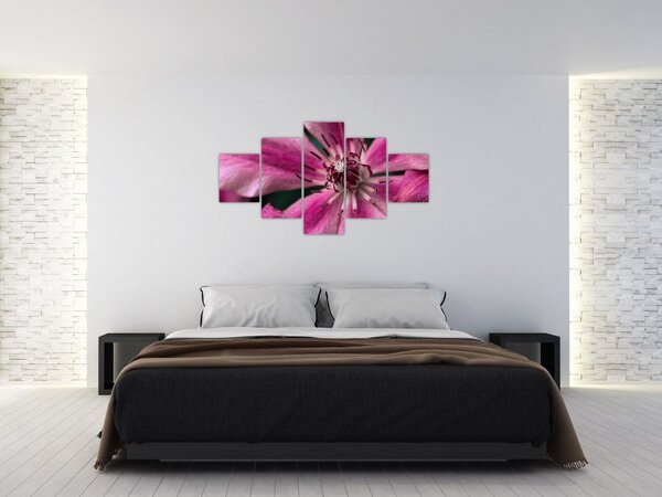 Obraz różowego kwiatu powojnika (125x70 cm)