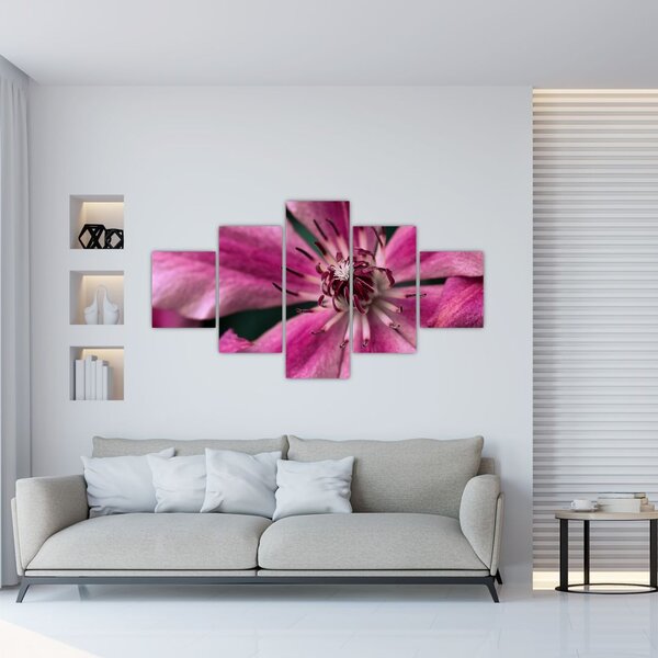 Obraz różowego kwiatu powojnika (125x70 cm)