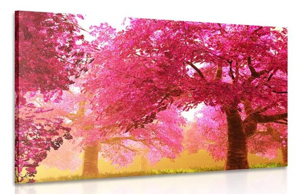 Obraz magiczne drzewa kwitnącej wiśni
