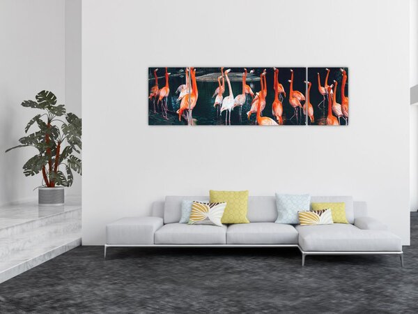 Obraz stada flamingów (170x50 cm)