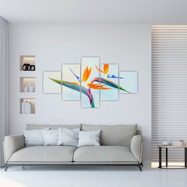 Obraz kwiatu Strelicji (125x70 cm)