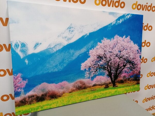 Obraz magiczne drzewo w środku gór