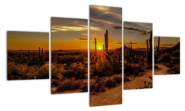 Obraz - Koniec dnia na pustyni w Arizonie (125x70 cm)