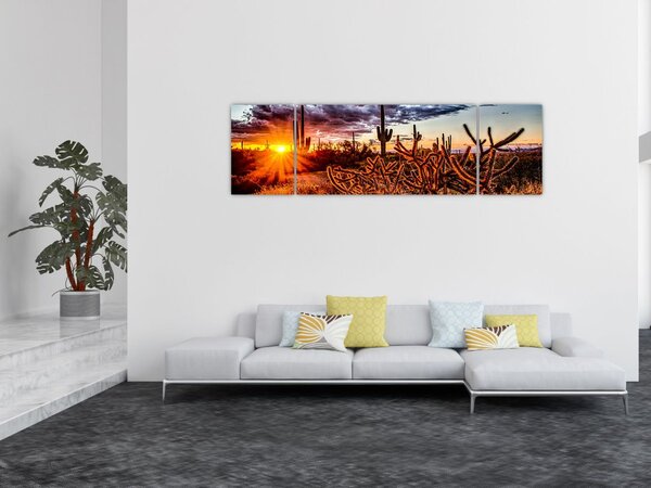 Obraz - Złota godzina pustyni (170x50 cm)