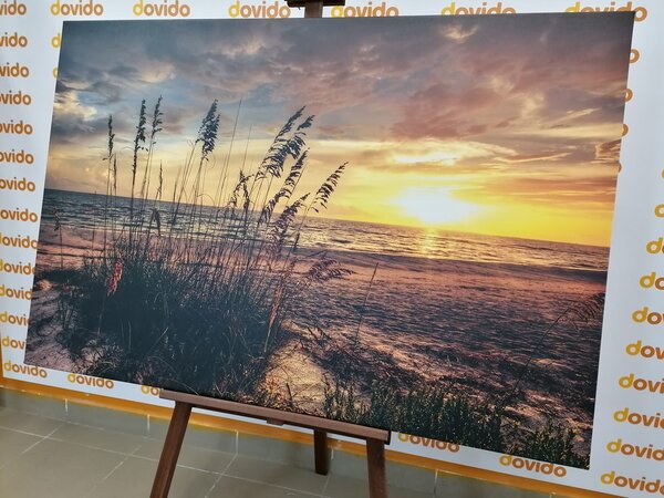 Obraz zachód słońca na plaży
