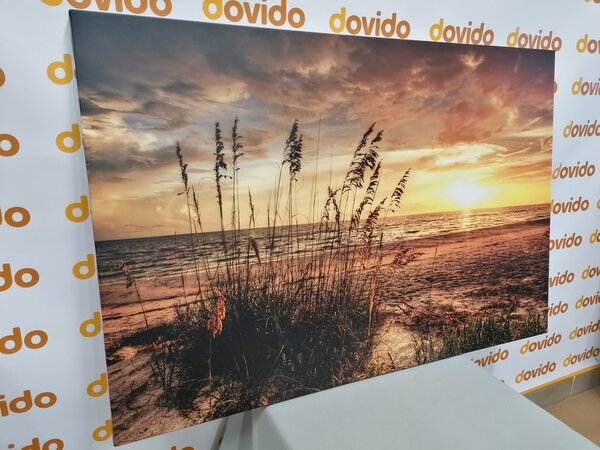 Obraz zachód słońca na plaży