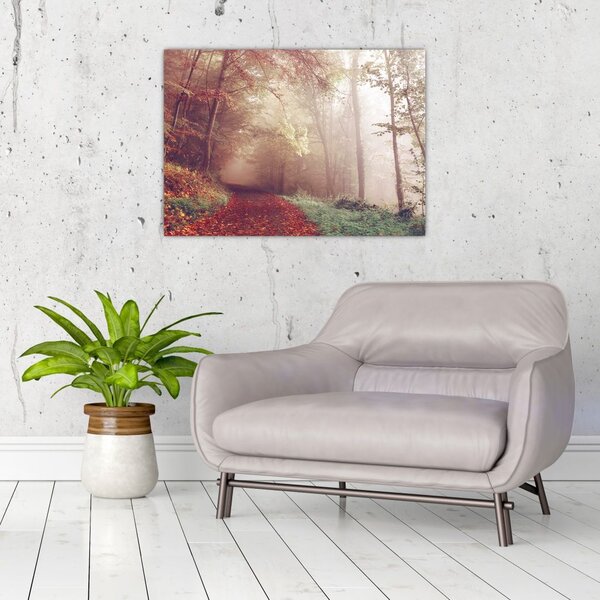 Obraz - Jesienny spacer po lesie (70x50 cm)