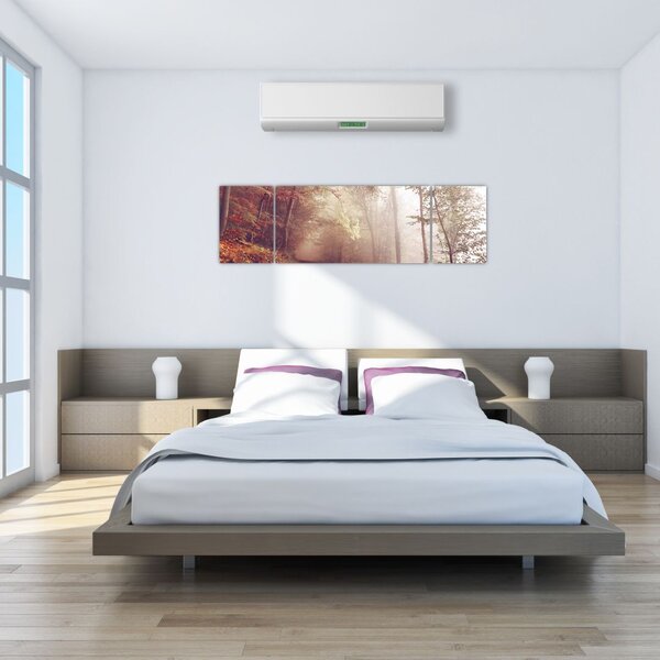 Obraz - Jesienny spacer po lesie (170x50 cm)