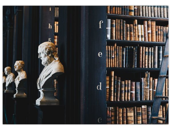 Obraz - W bibliotece (70x50 cm)